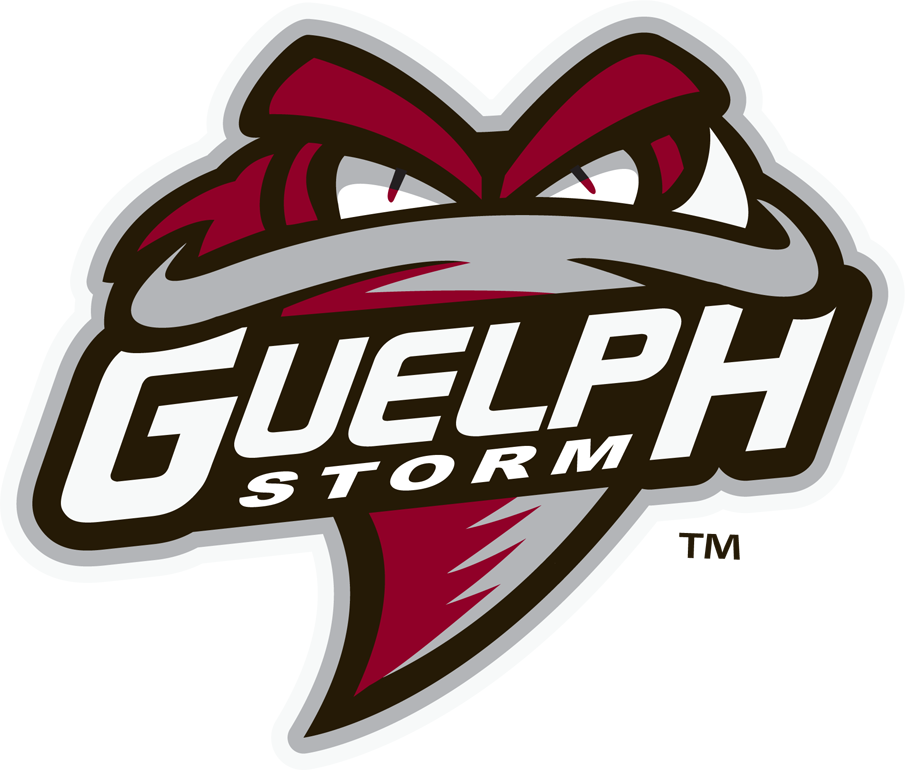 Guelph Storm 2018-Pres Primary Logo iron on transfers for clothing